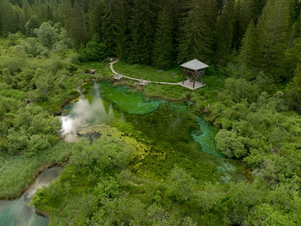 7 Eco-Friendly Destinations That Will Make You Feel Good About Traveling