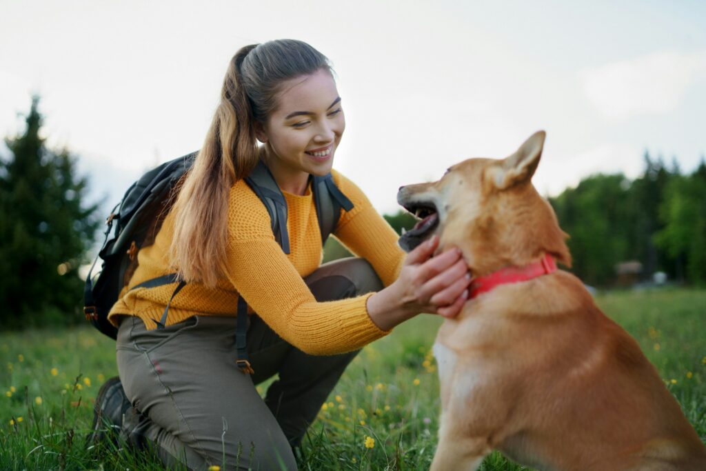 Traveling with Fido: The Ultimate Guide to Pet-Friendly Adventures