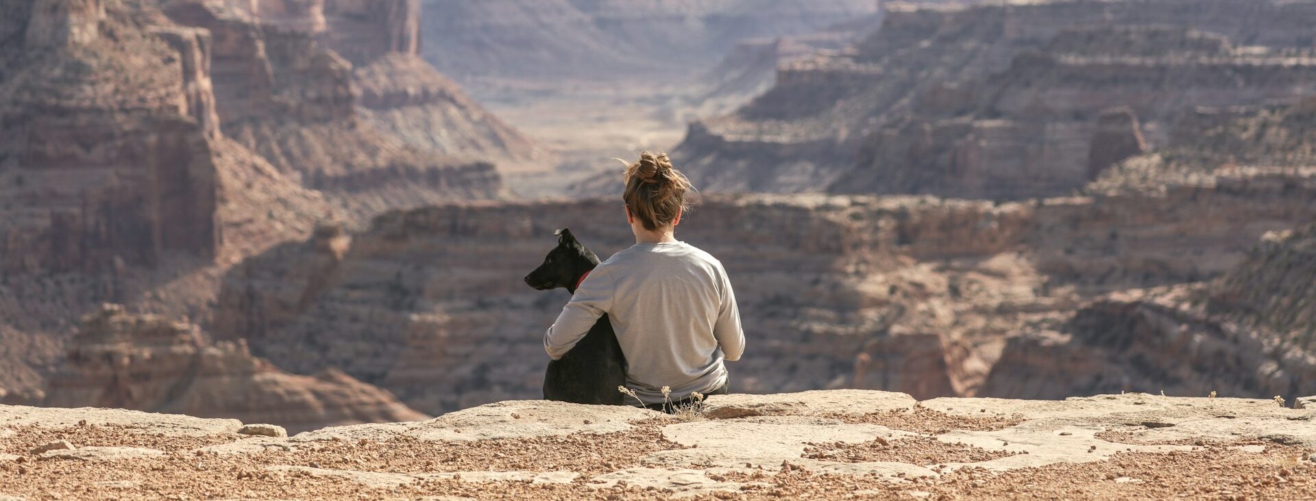 Traveling with Fido: The Ultimate Guide to Pet-Friendly Adventures