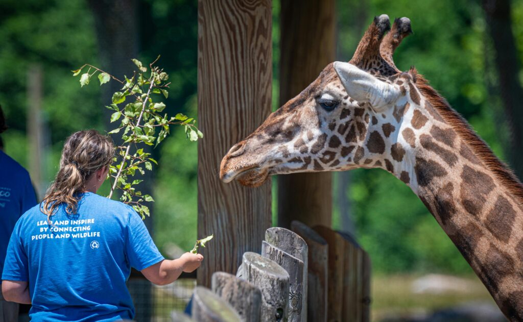 Change Lives While You Travel: The Ultimate Guide to Voluntourism