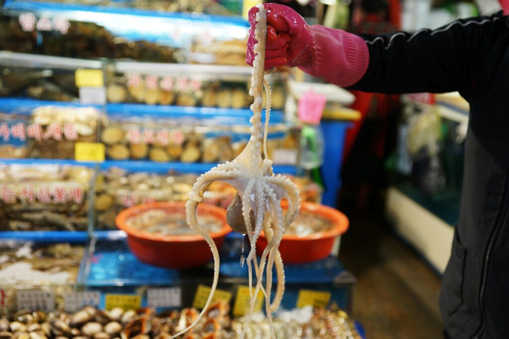 Brave Enough? The World's 10 Most Exotic Street Foods You Have to Try Once