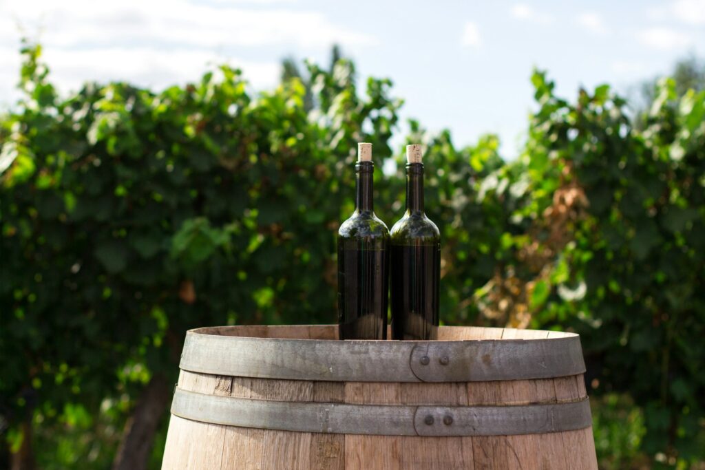 Sip Your Way Around the Globe: 8 Under-the-Radar Wine Regions to Discover