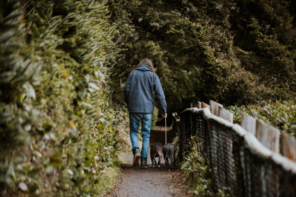 Traveling with Fido: The Ultimate Guide to Pet-Friendly Adventures
