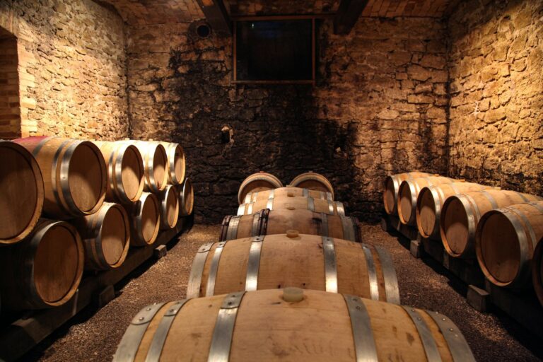 Sip Your Way Around the Globe: 8 Under-the-Radar Wine Regions to Discover