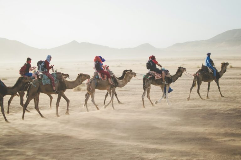 Dare to Visit? 7 Haunting Destinations for Thrill-Seekers and History Buffs