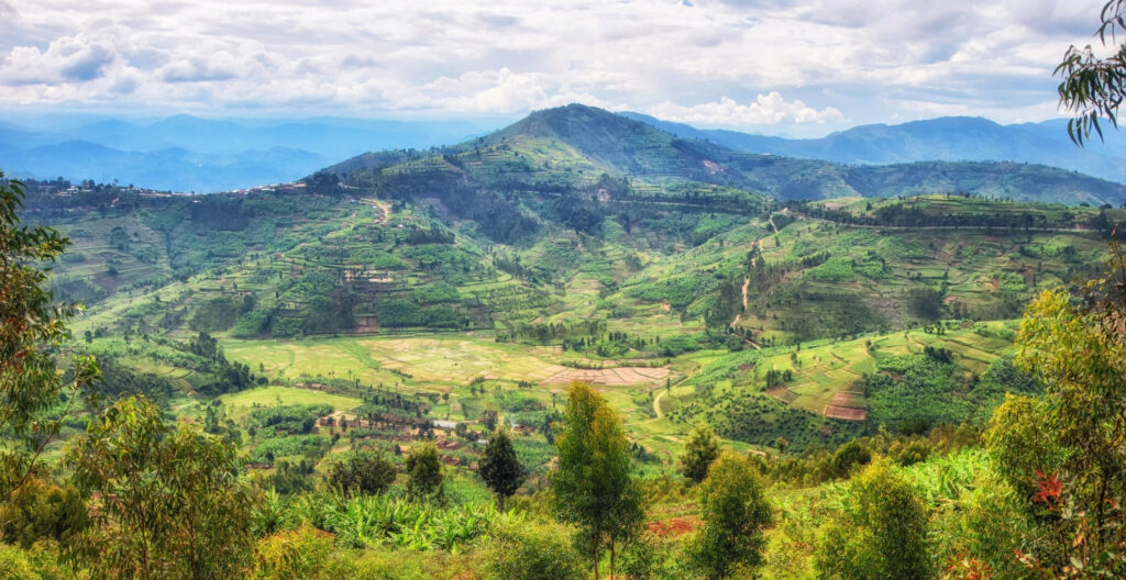Ethical Voluntourism Opportunities