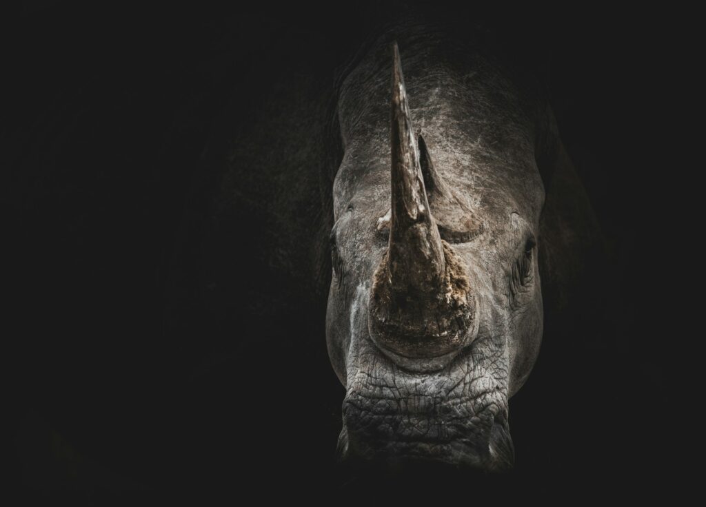 See Wildlife Without the Guilt