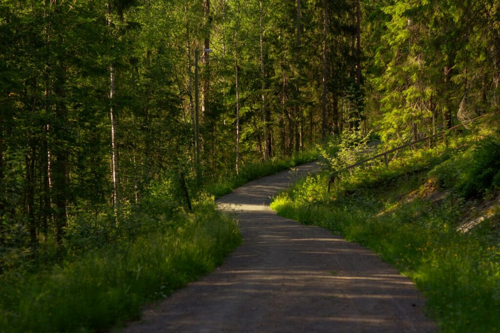 Pro Tips for Taking Travel Photos