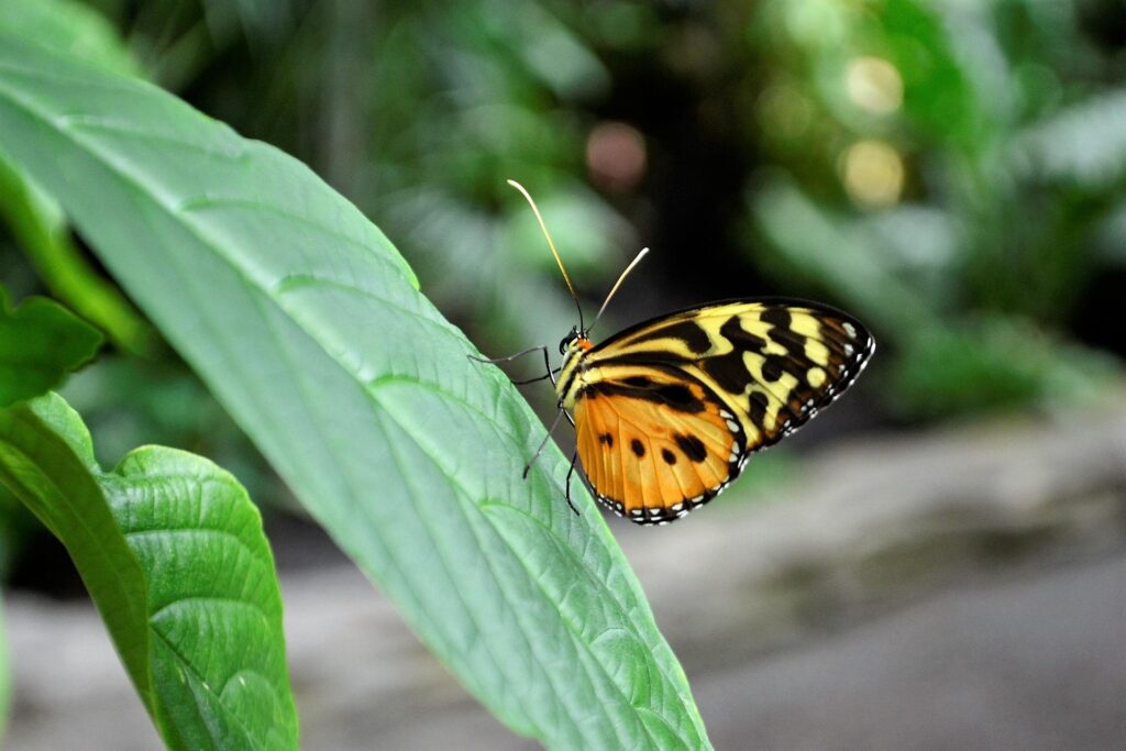 Eco-Friendly Destinations