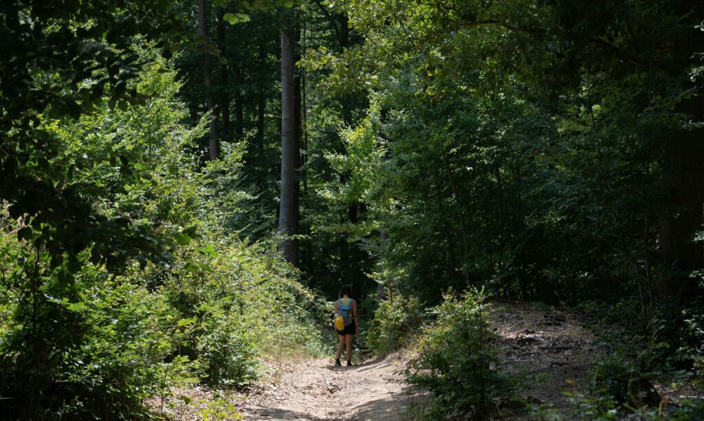 Destinations for Heart-Pumping Adventure Sports