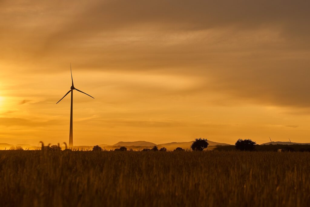 Eco-Friendly Destinations